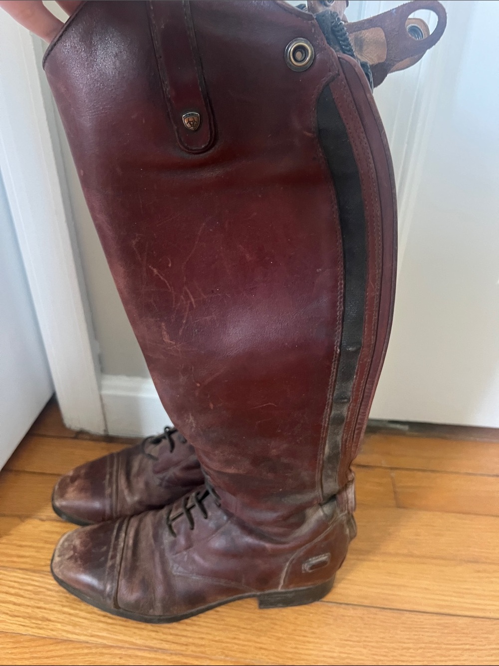 Ariat Tall field Leather Riding Boots in cognac brown - Picture 2 of 5